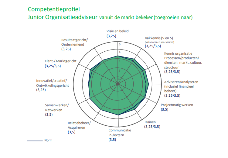 junior organisatieadviseur competentieprofiel